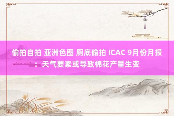 偷拍自拍 亚洲色图 厕底偷拍 ICAC 9月份月报：天气要素或导致棉花产量生变