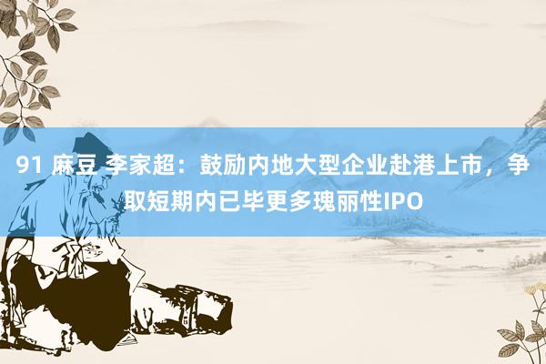 91 麻豆 李家超：鼓励内地大型企业赴港上市，争取短期内已毕更多瑰丽性IPO