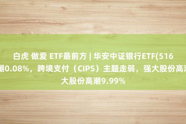 白虎 做爱 ETF最前方 | 华安中证银行ETF(516210)高潮0.08%，跨境支付（CIPS）主题走弱，强大股份高潮9.99%
