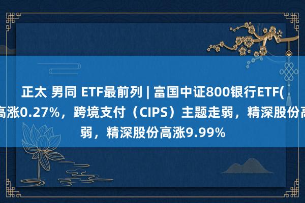 正太 男同 ETF最前列 | 富国中证800银行ETF(159887)高涨0.27%，跨境支付（CIPS）主题走弱，精深股份高涨9.99%