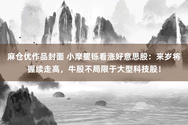 麻仓优作品封面 小摩矍铄看涨好意思股：来岁将握续走高，牛股不局限于大型科技股！