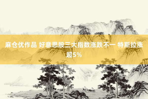 麻仓优作品 好意思股三大指数涨跌不一 特斯拉涨超5%