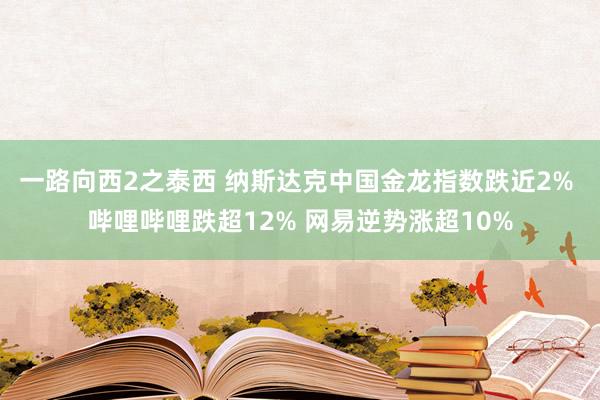 一路向西2之泰西 纳斯达克中国金龙指数跌近2% 哔哩哔哩跌超12% 网易逆势涨超10%