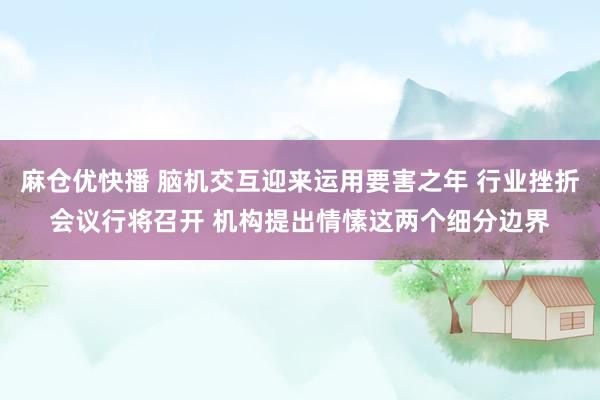 麻仓优快播 脑机交互迎来运用要害之年 行业挫折会议行将召开 机构提出情愫这两个细分边界