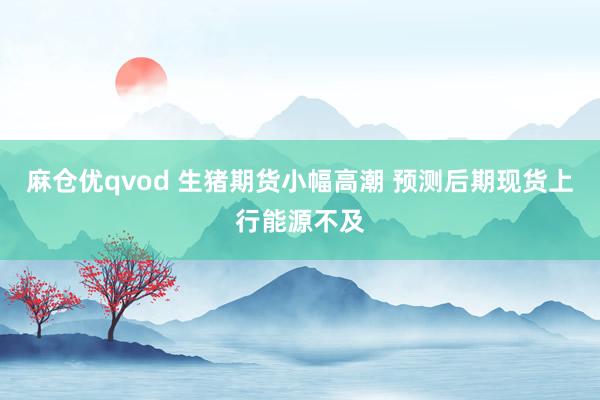 麻仓优qvod 生猪期货小幅高潮 预测后期现货上行能源不及