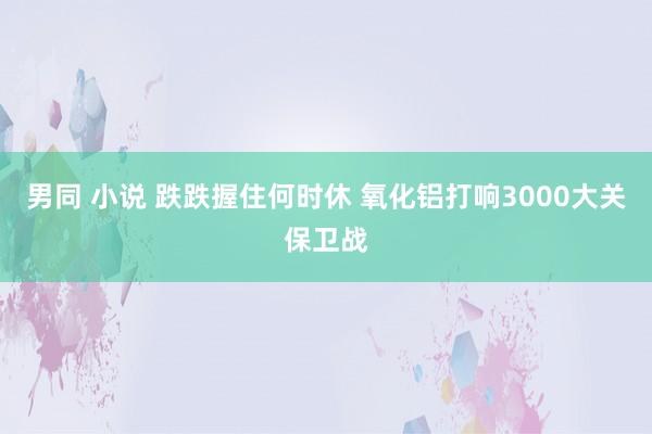 男同 小说 跌跌握住何时休 氧化铝打响3000大关保卫战