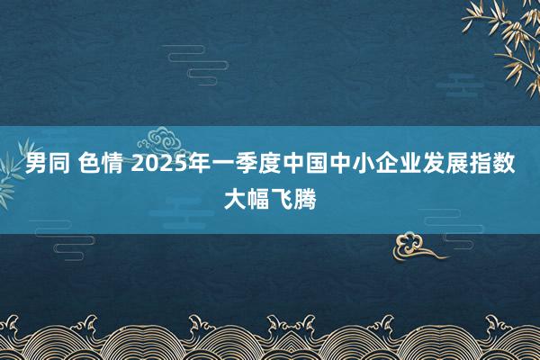 男同 色情 2025年一季度中国中小企业发展指数大幅飞腾