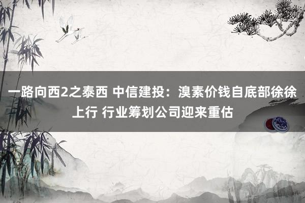 一路向西2之泰西 中信建投：溴素价钱自底部徐徐上行 行业筹划公司迎来重估